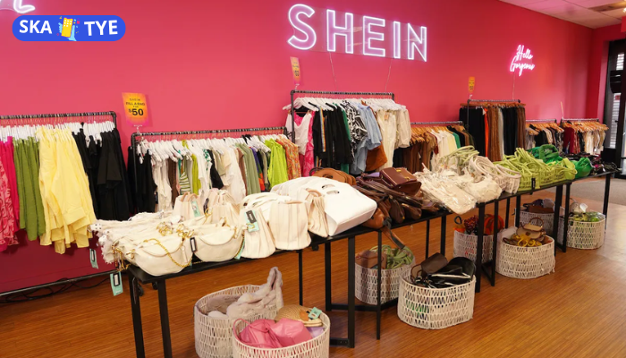 Ganhar roupas na Shein: truques secretos para conquistar peças